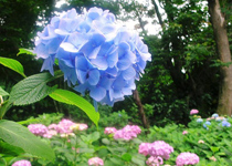 �U���ƌ�����