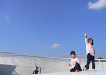 ����\�������|�[�Y���͔���܂���