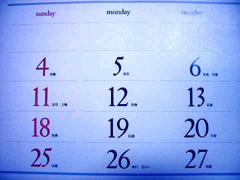 �u���ăX�e�L����Ȃ��́v