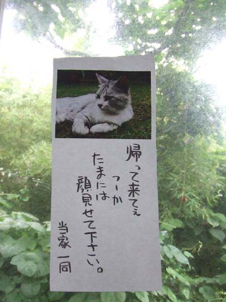 �J�G���}�c