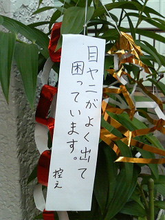 ���͂��ǌ�