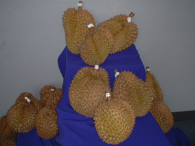 �h���A���B