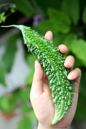 �S�[��1��