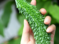 �S�[��1��