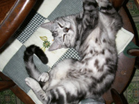 ���ɂ�΂����[