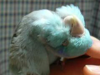 �⎟�Y�A�S�ˁA�āB