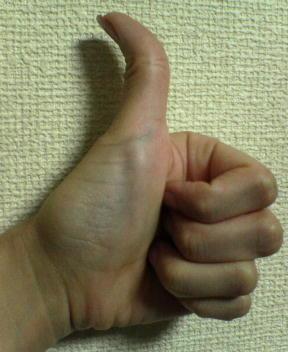 �e�w�Ђ߂��`