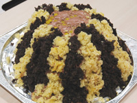 �~���U�P�[�L��_��