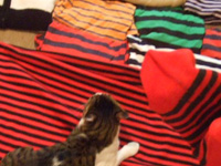 NO �V�}�V�},NO LIFE!