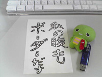 ���̑����̓K�`���c����Ȃ���USB������