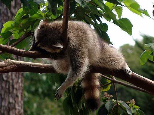 ���A�􂢕����E�E�E