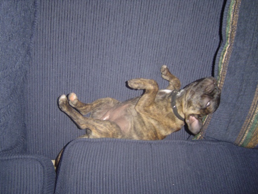 �J�E�`�Ŕ���