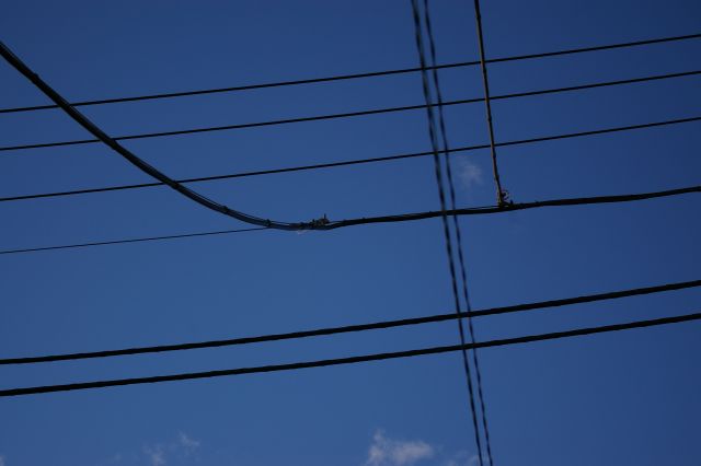 ������悤�Ȑ��