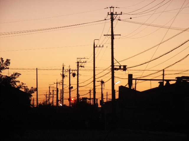 �s���ǂ̒�