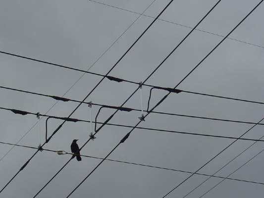 ���炷�����̊p��