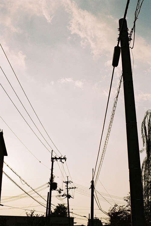 �V���G�b�g���}���X