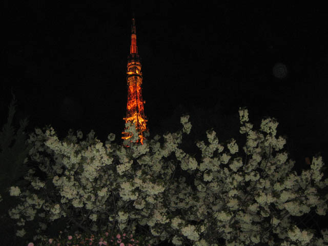 ���ԐF�Ўv����