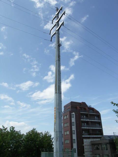 �S���ǂ��ł��傤