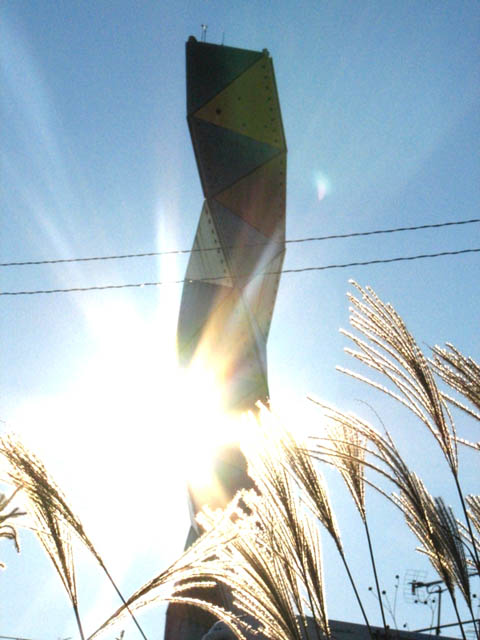 ����q�ރX�X�L����