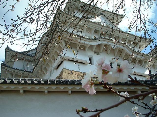 �W���p�j�[�Y�^���[��������10����