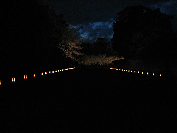 ��̓����