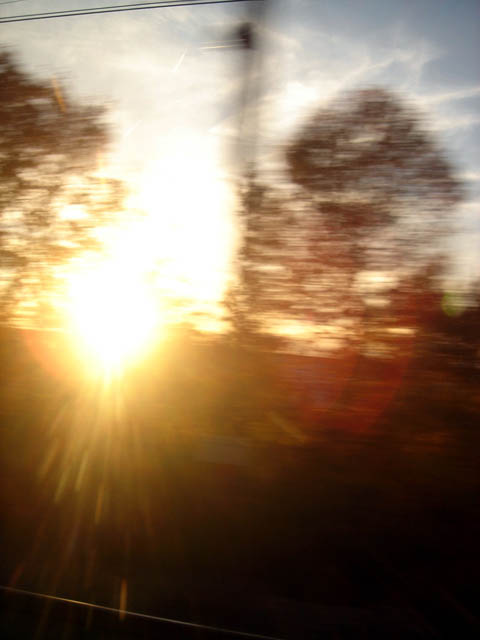 �[�Ă��t���b�V��