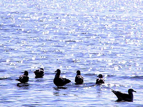 �C�A����