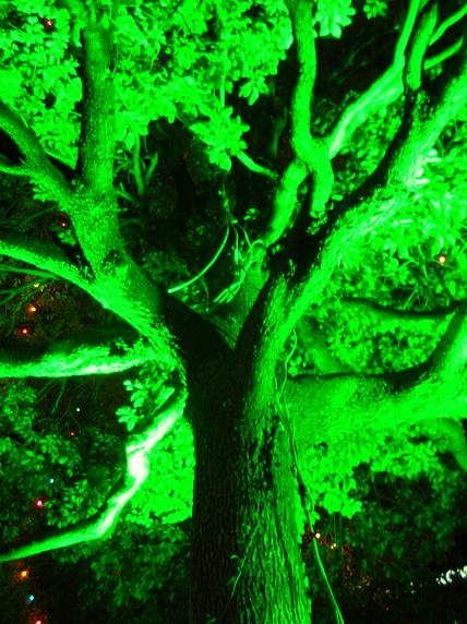 �s�g�d�E��