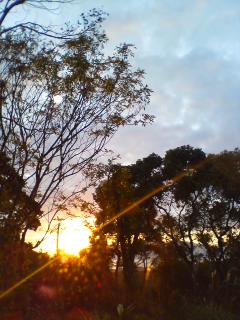 �������̒��Ă�