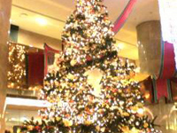 �V�h�q���g���ɂ�