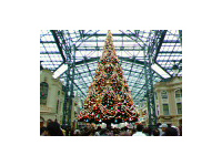 �O�̓��ɂ͂Ȃ������̂�