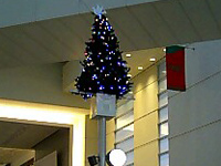 ���l�݂ȂƂ݂炢�N�B�[���Y�X�N�G�A����c���[�B