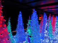 ����ꂽ��m�̑��ɂ����Ă��饥����