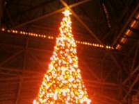 �Ђ����Ă܁[���I�i��j