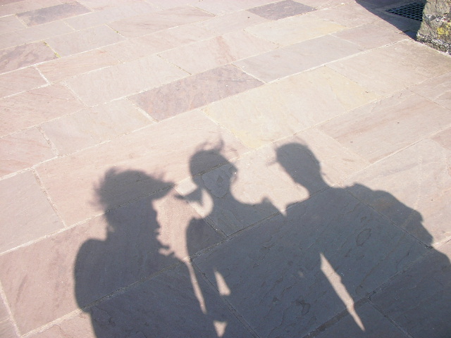 �e�F�R�l�ŎU��