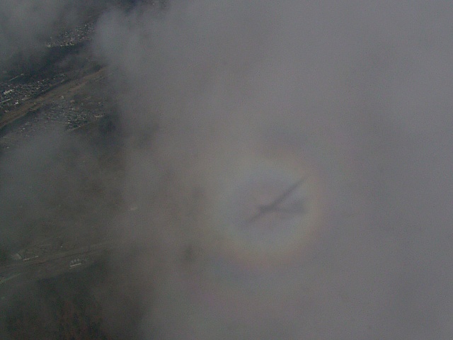 �u���b�P���̗d��