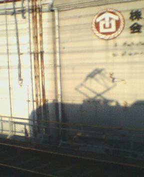 �����֑���