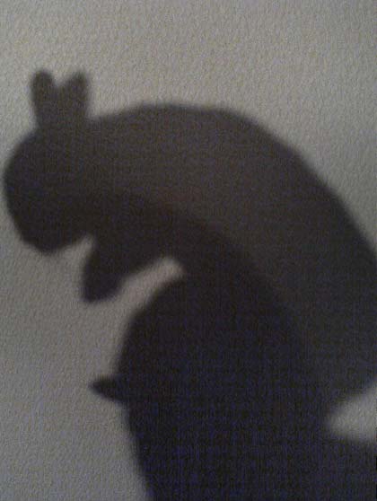 ���̃A�C�c���ۂ�