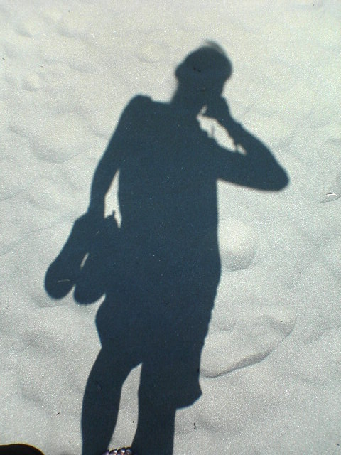 �l���l���\�s�ɂ�