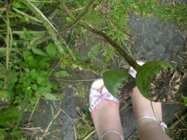 �Ȃɂ��Ȃ���������邢