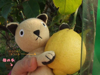 ������ƟE�G�ƃl�R�ƒ�K