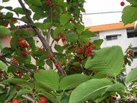 ��̂�������