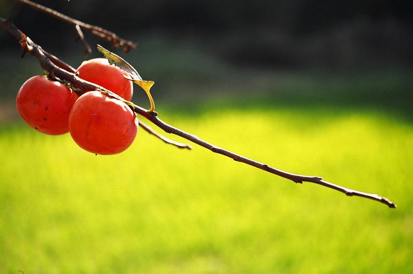 �H���H��