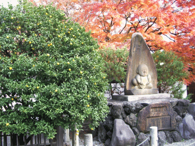 �k�̎��Ɛl�`��