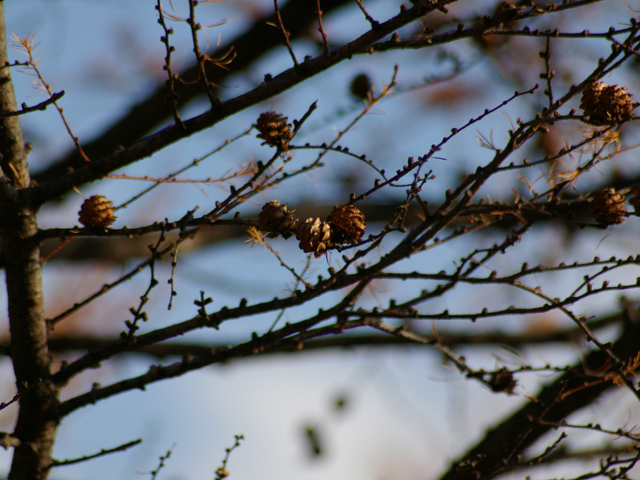 �������H