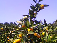 �~�J�����