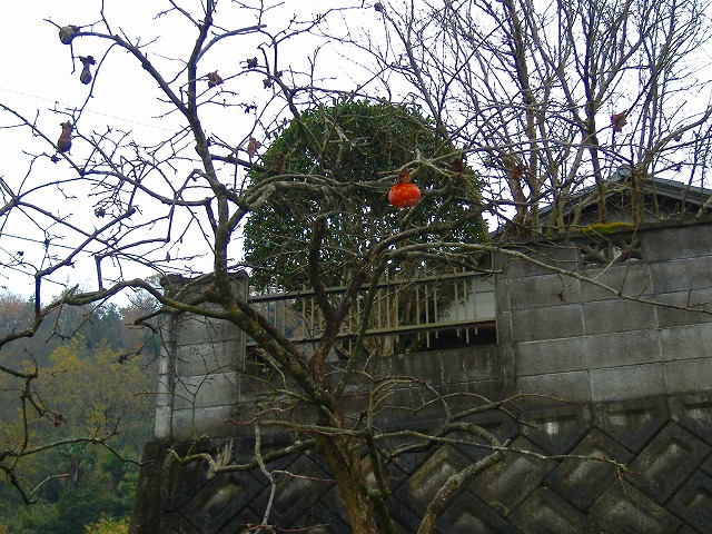 �����ギ����