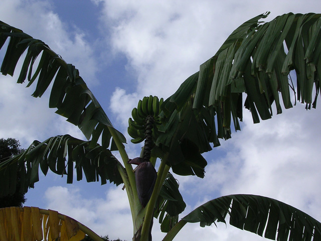 ���w�l�̎w