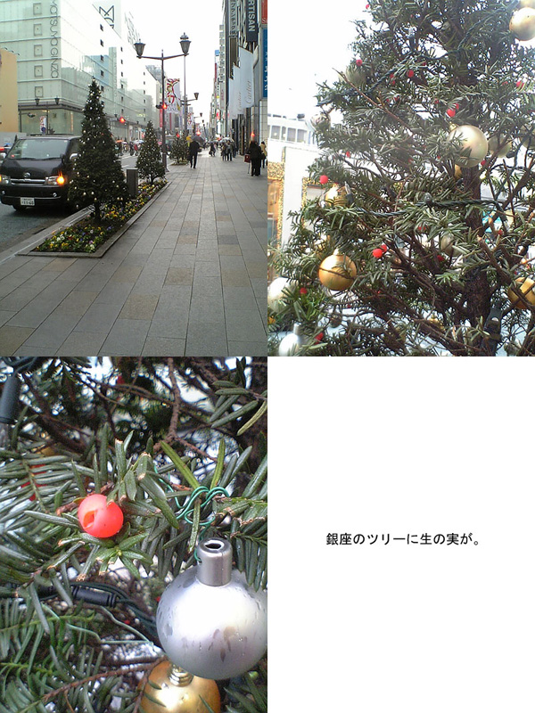 ����̐^�񒆂ŁB