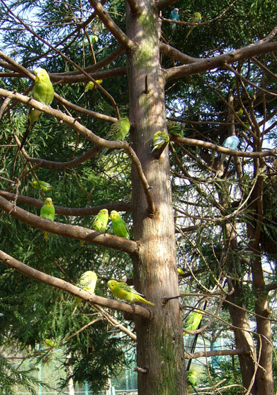 �Ƃ���ǂ����